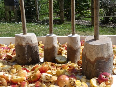 Make your own apple juice Igartubeiti