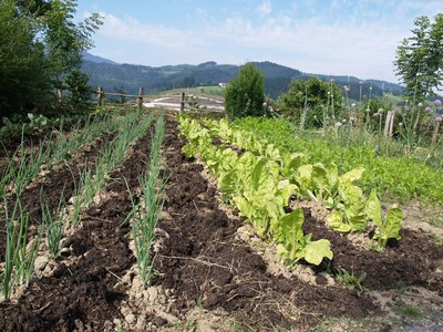 El huerto de Igartubeiti