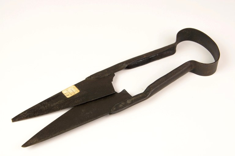 Tijeras para esquilar Tijeras para esquilar