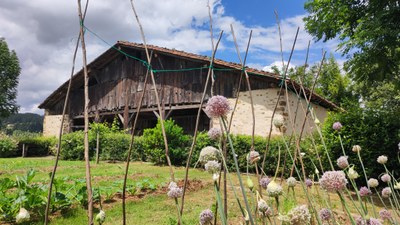 El huerto ecológico de Igartubeiti en junio