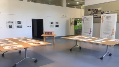 Exposición Mitos y leyendas del Pirineo en el Centro de Interpretación de Igartubeiti