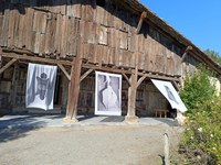 Exposición "Nagusia hil da. El rito en torno a la colmena"