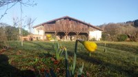 Febrero, el tránsito hacia la primavera  