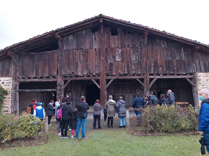 Grupo diverso en la excursión inclusiva