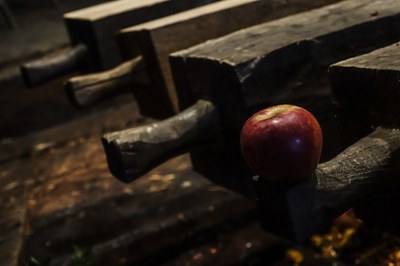 Jesús Heras ha logrado el primer premio a la mejor colección en el concurso fotográfico Semana de la Sidra