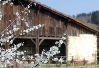 Marzo: a las puertas de la primavera 