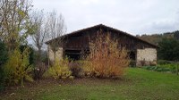 Otoño, la estación más hermosa