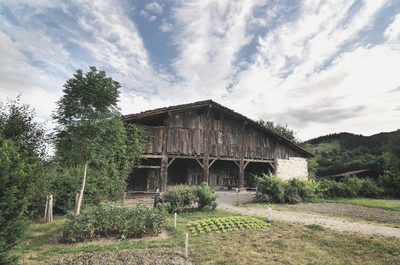 Museoa itxita baina lanean