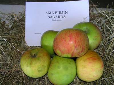 Ama Birjin sagarra