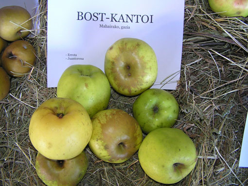 Bost-kantoi