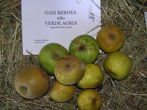 Gazi berdea edo verde agria