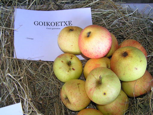 Goikoetxe