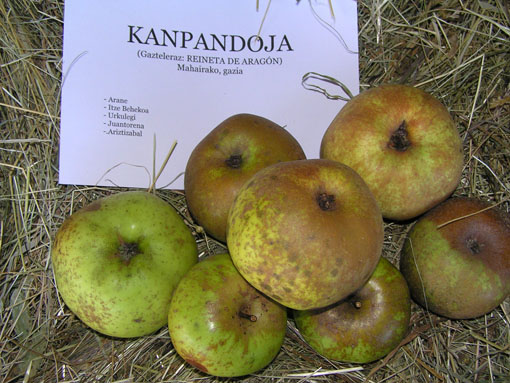 Kanpandoja