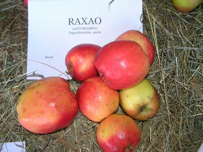 Raxao