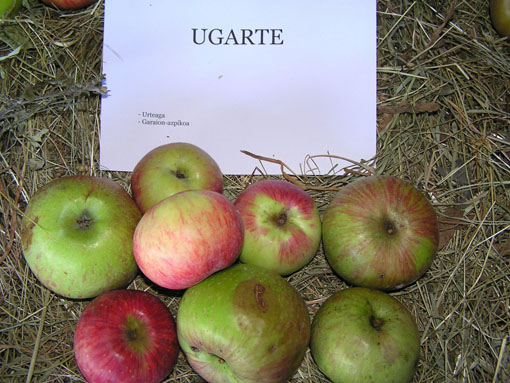 Ugarte