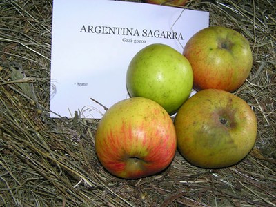 Argentina sagarra