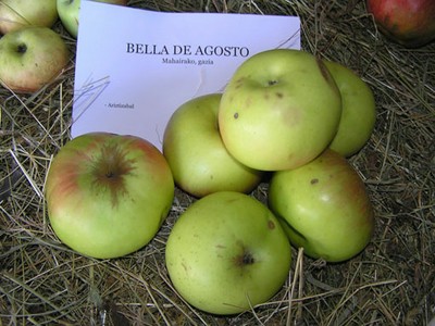 Bella de agosto