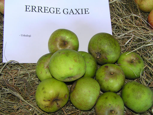 Errege gazie