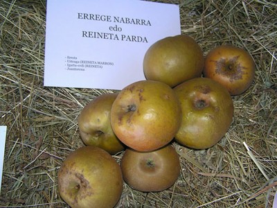 Errege nabarra edo reineta parda