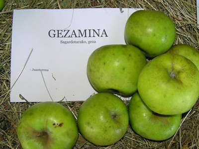 Gezamina