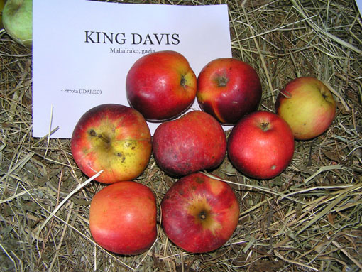 King Davis