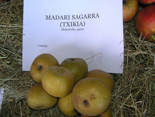 Madari sagarra txikia