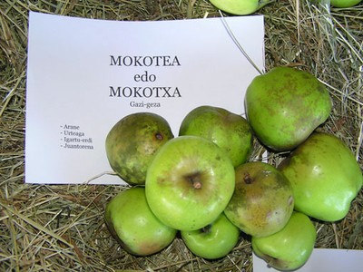 Mokotea edo mokotxa