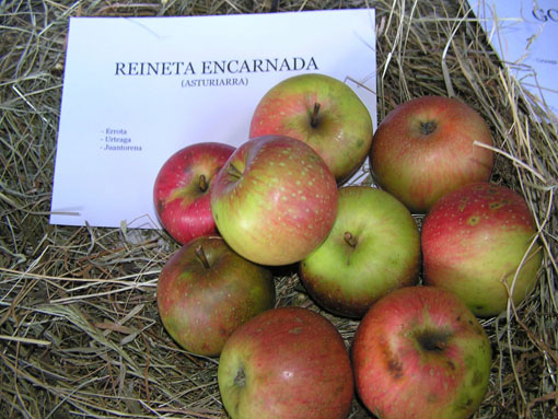 Reineta encarnada