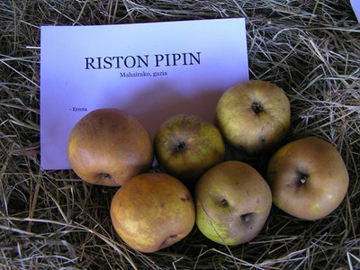 Riston Pipin