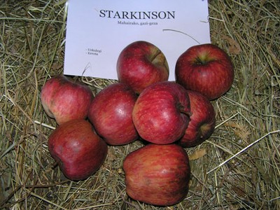 Starkinson