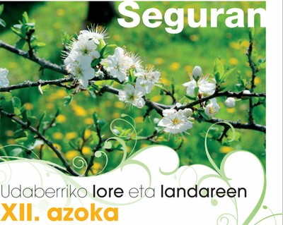 Segurako XII. Lore eta landareen azoka