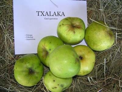 Txalaka sagar mota